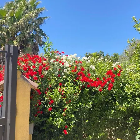 La Rosa Del *