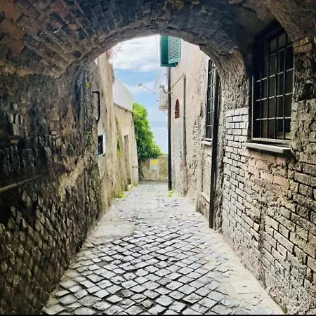 Apartament La Rosa Del *